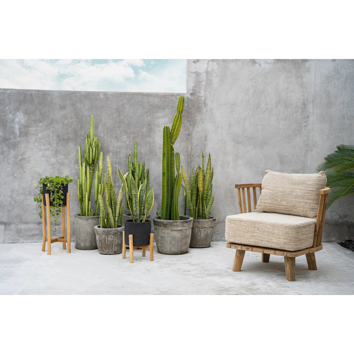 The Charcoal Low - Zwart Naturel - S