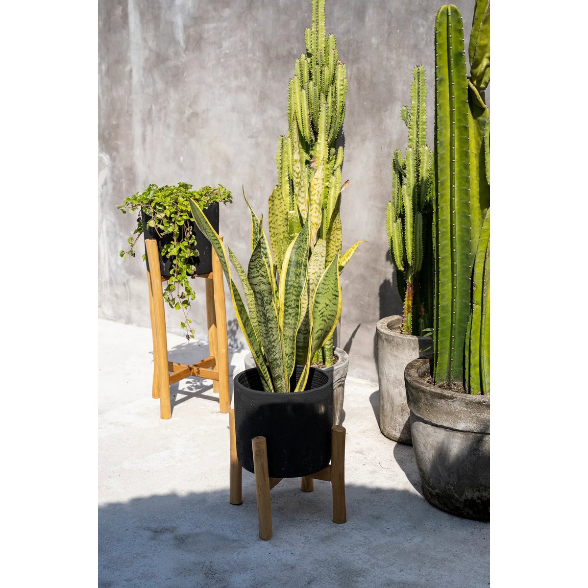 The Charcoal Low - Zwart Naturel - S