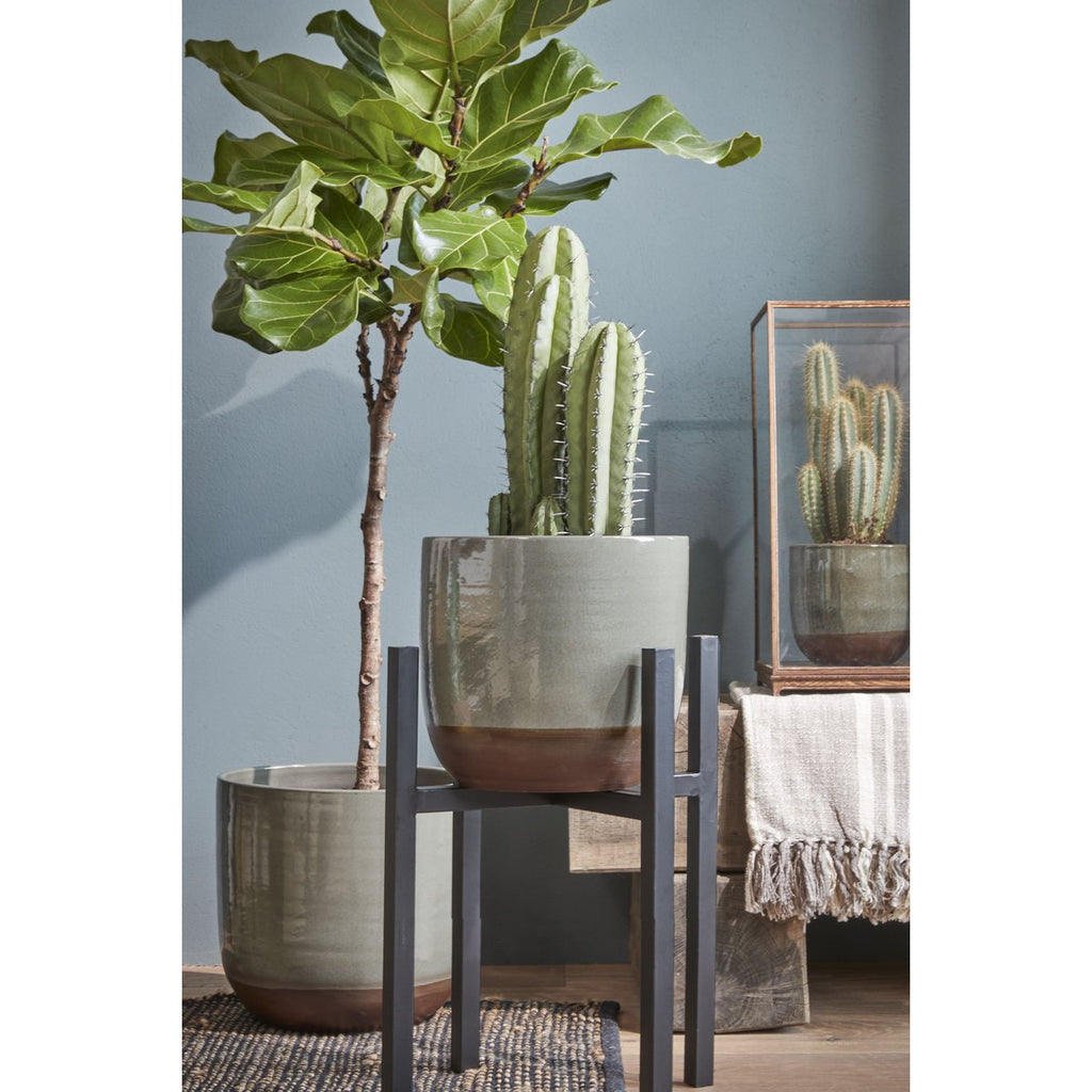 Ascot Plantenstandaard XL – L42 x B42 x H50 cm – Metaal – Zwart