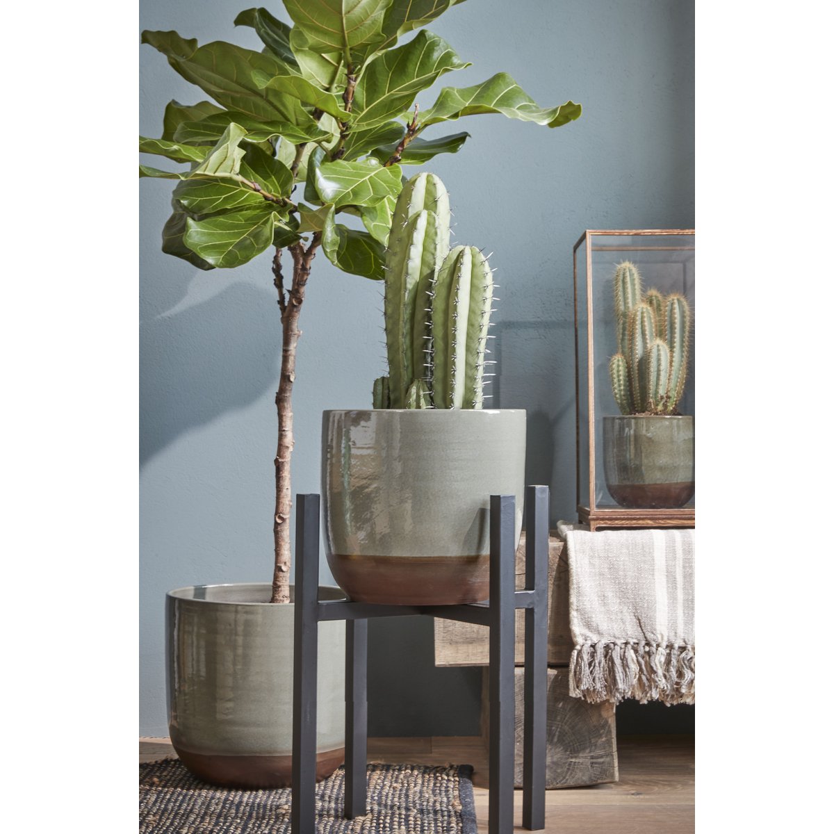 Ascot Plantenstandaard XL – L42 x B42 x H50 cm – Metaal – Zwart