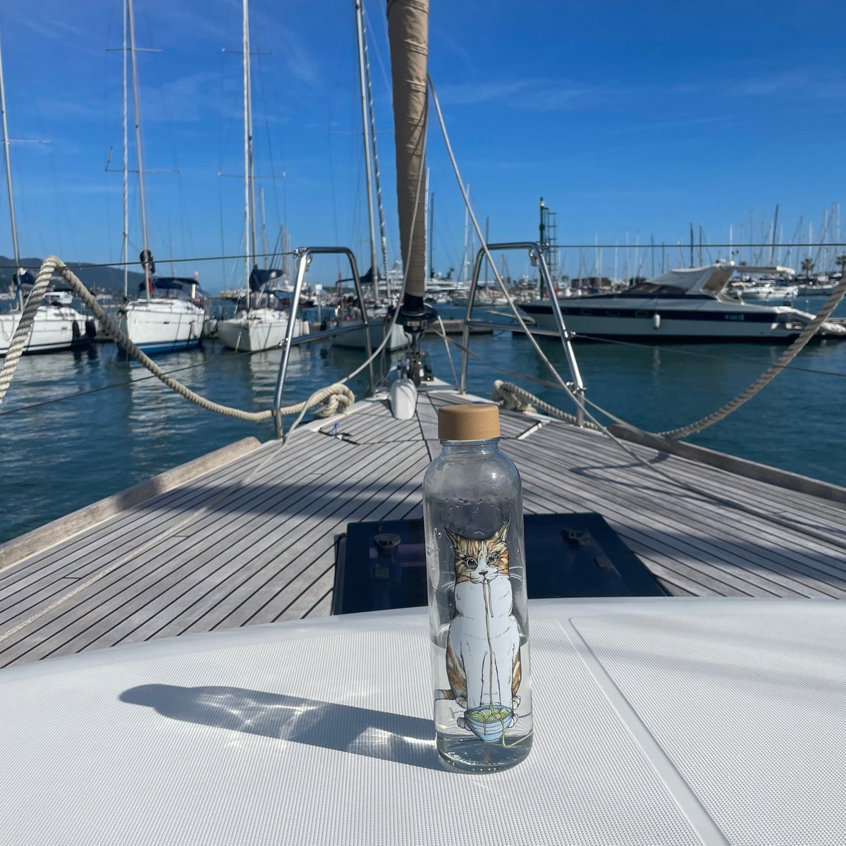 Ramen Kat Glazen Fles, 0,7 liter