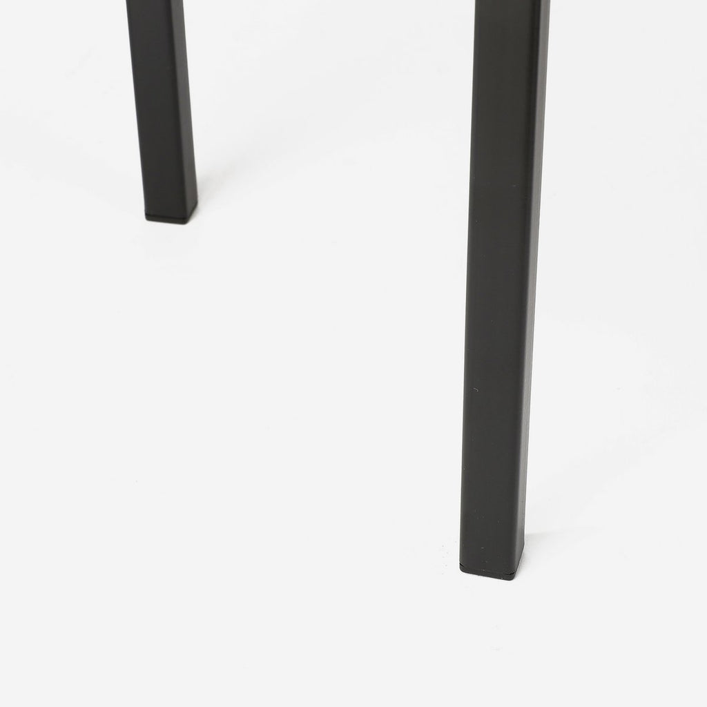 Ascot Plantenstandaard – L24 x B24 x H55 cm – Metaal – Zwart