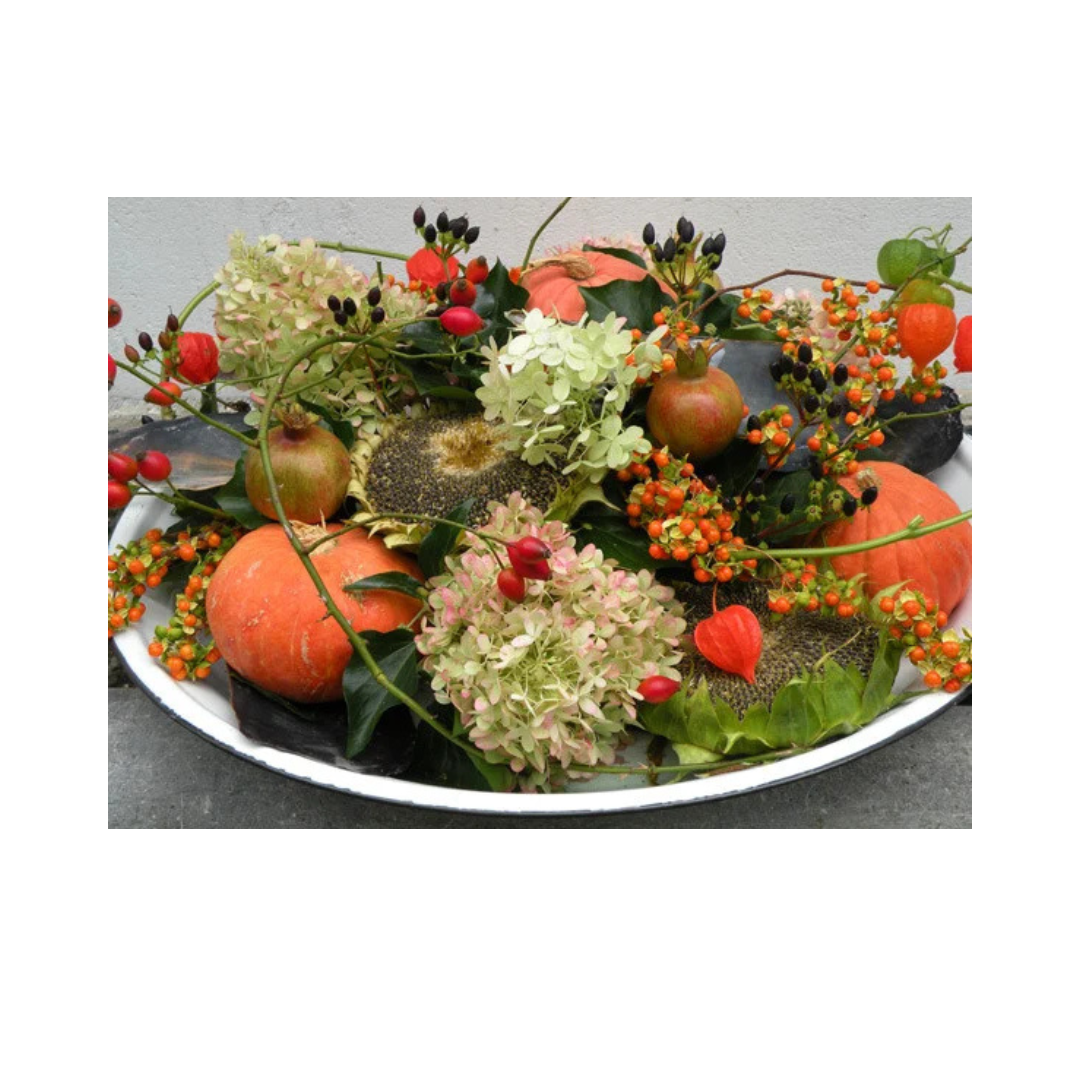 Workshop Herfst Editie 2026