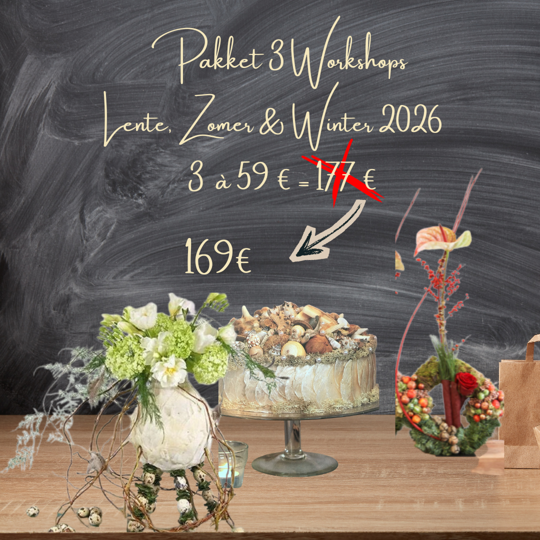 Workshop Pakket Lente, Zomer & Winter 2026
