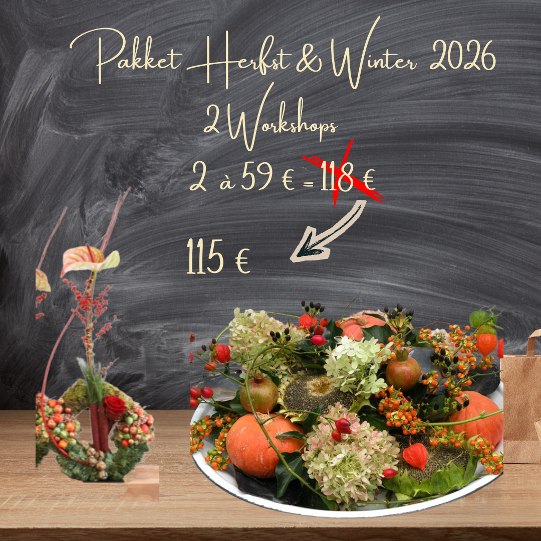 Workshop Pakket Herfst & Winter 2026