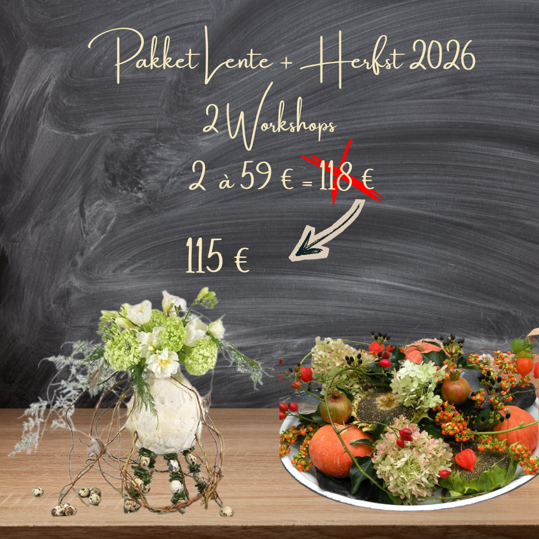 Workshop Pakket Lente & Herfst 2026