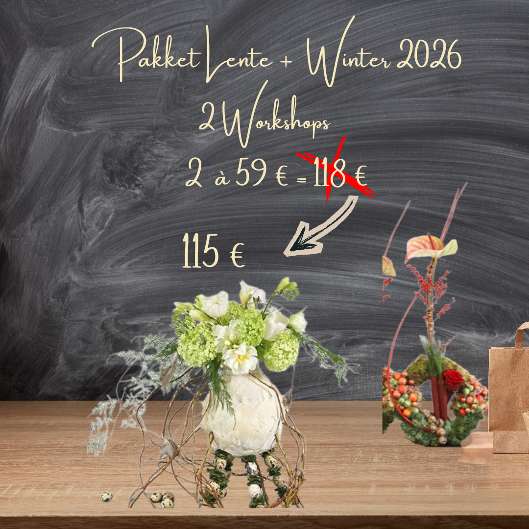Workshop Pakket Lente & Winter 2026