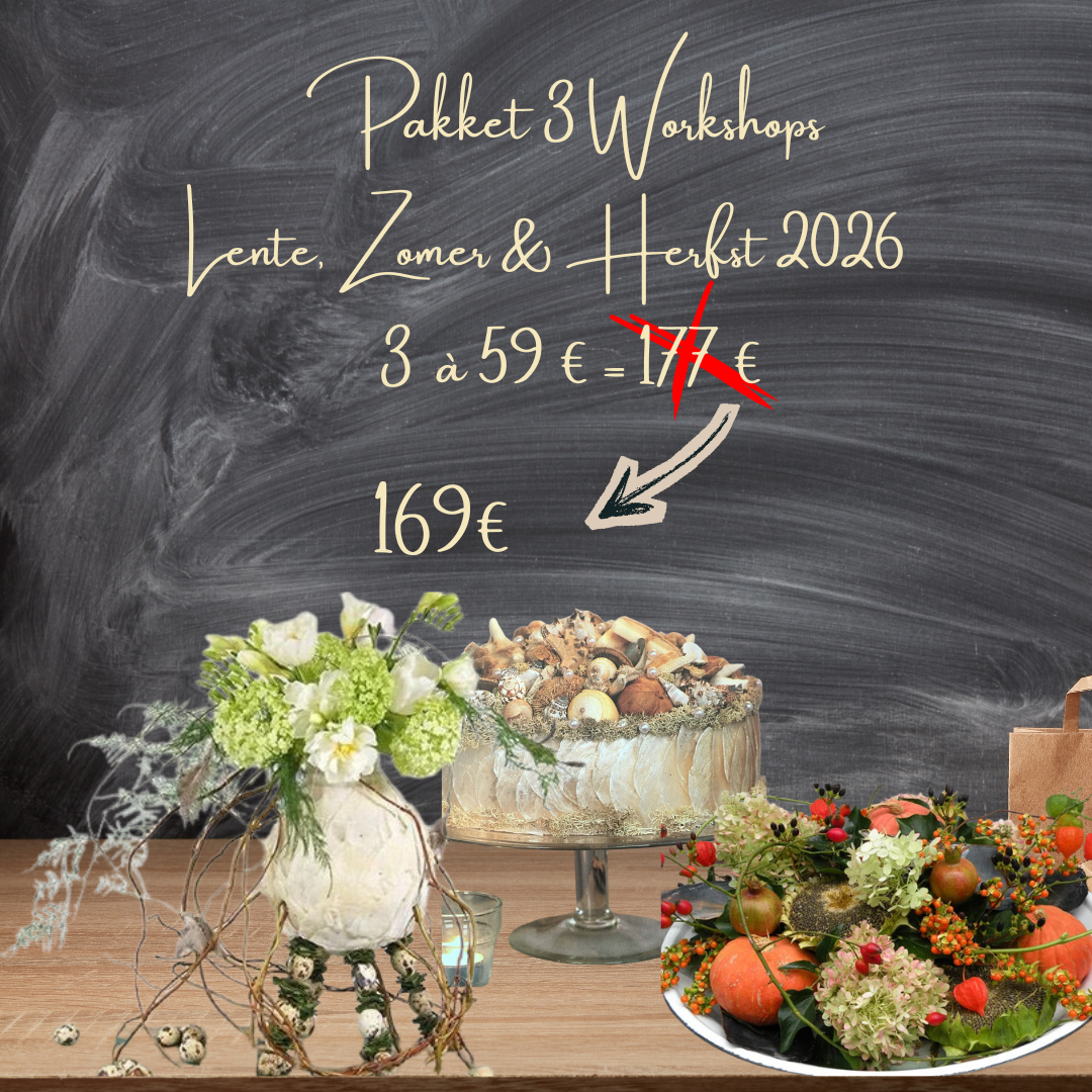 Workshop Pakket Lente, Zomer & Herfst 2026