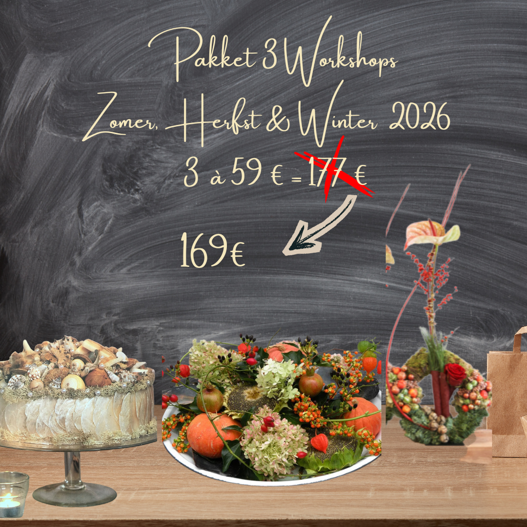 Workshop Pakket Zomer, Herfst & Winter 2026