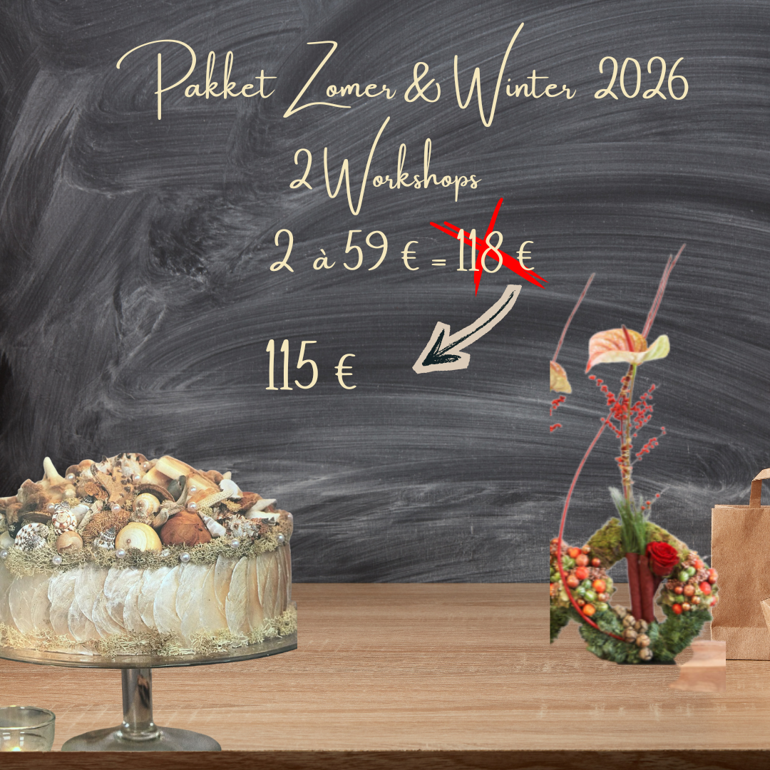 Workshop Pakket Zomer & Winter 2026