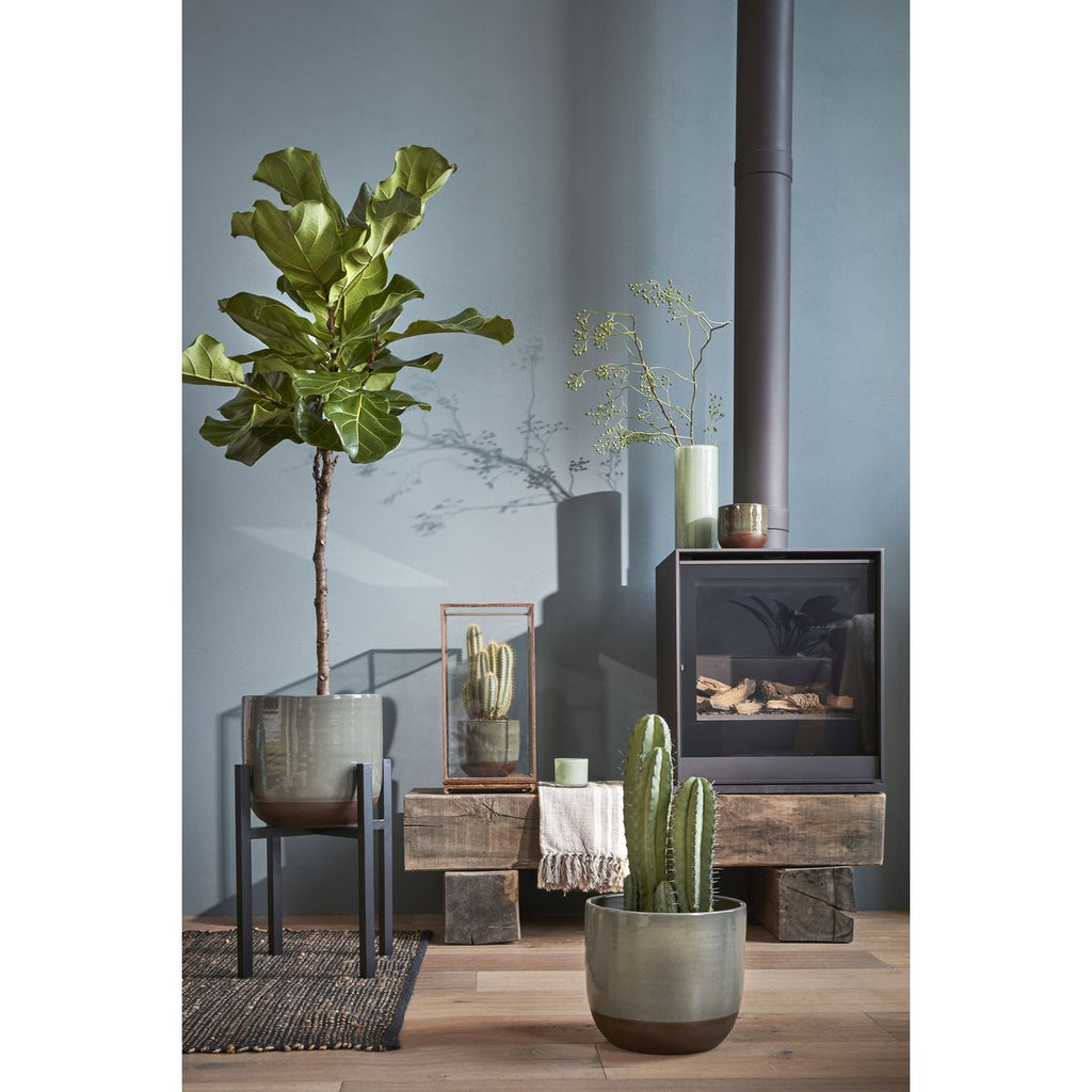 Ascot Plantenstandaard XL – L42 x B42 x H50 cm – Metaal – Zwart