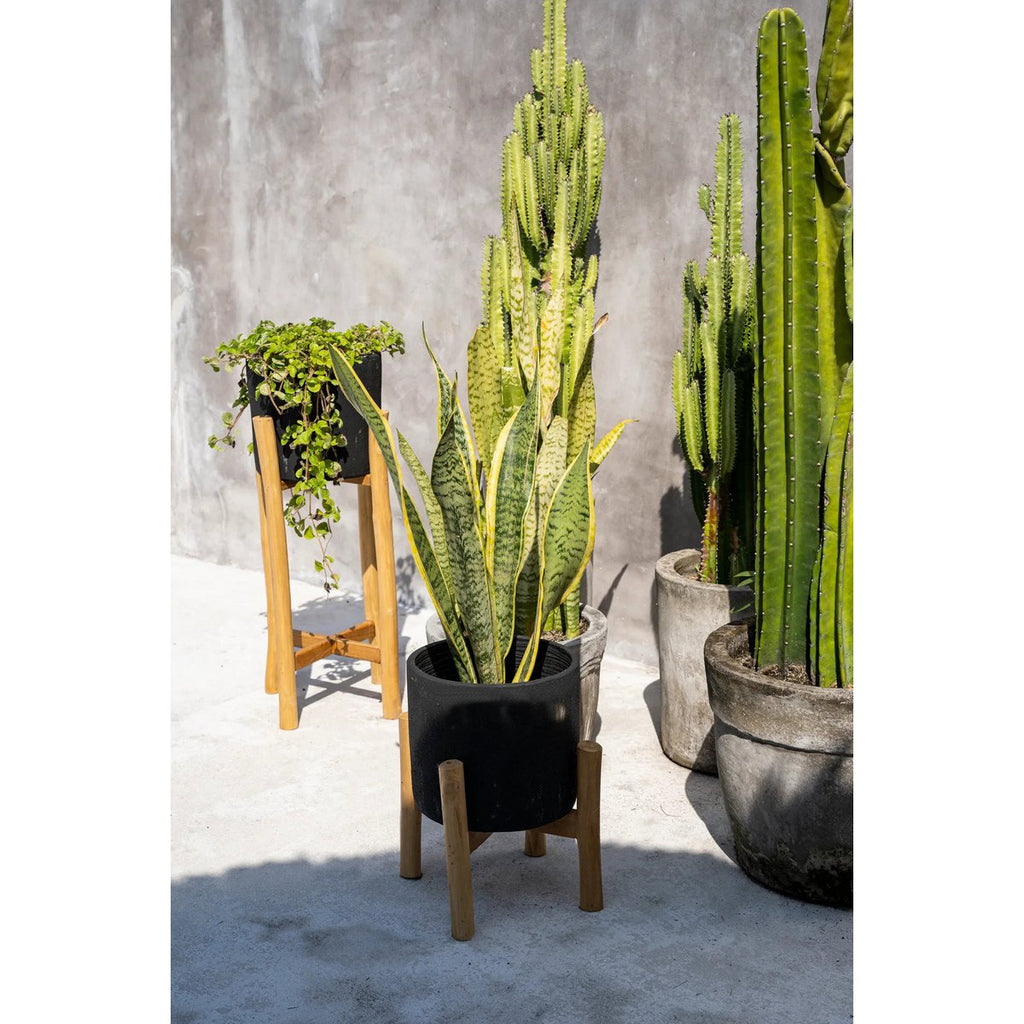 The Charcoal Low - Zwart Naturel - S